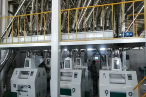Ligne de production de farine de maïs et de gruau de maïs 100TPD