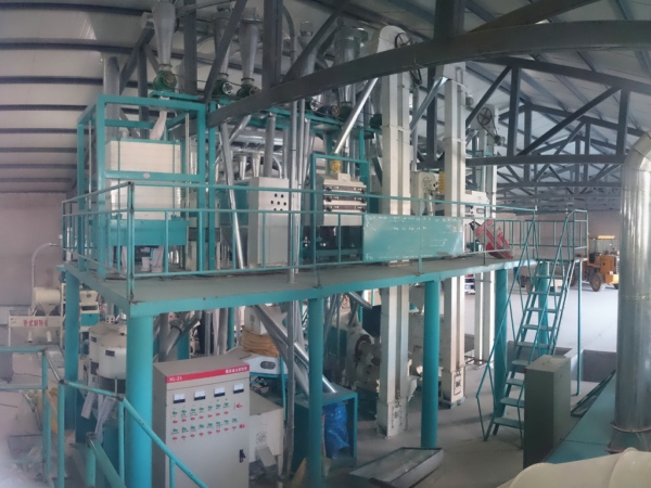 100TPD ligne de traitement de moulin à farine de maïs