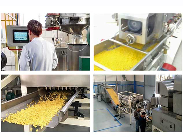 Vue d'ensemble de la ligne de production de Corn Flakes