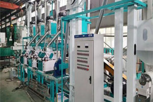 fabricant de ligne de production de farine de maïs 10-20TPD