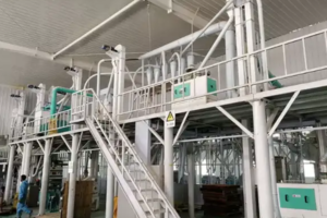 30-50TPD Moulin à farine de maïs fabricant