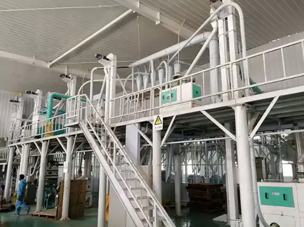 30-50TPD Fabricant de farine de maïs