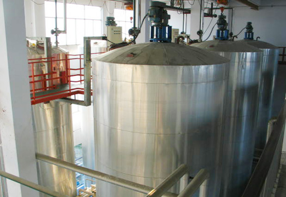 4.Crystallization Section