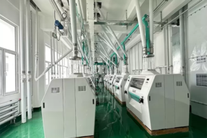 Ligne de production de farine de blé à grande échelle 600 tonnes