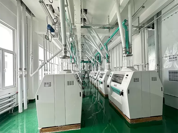 Ligne de production de farine de blé 600 tonnes