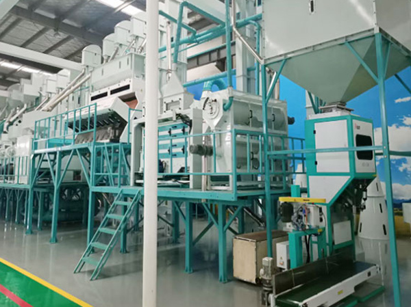 80TPD moulin à farine de maïs faisant la Machine
