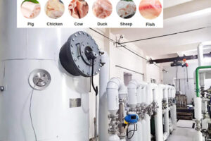 Fabricant de machines d’extraction d’huile de graisse animale