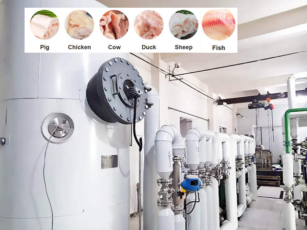 Fabricant de machines d’extraction d’huile de graisse animale