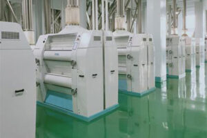 Ligne de production de farine de maïs entièrement automatique (maïs) fabricant
