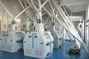 Fabricant de ligne de production de farine de blé entièrement automatique
