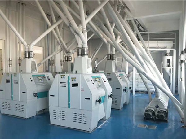 Fabricant de ligne de production de farine de blé entièrement automatique