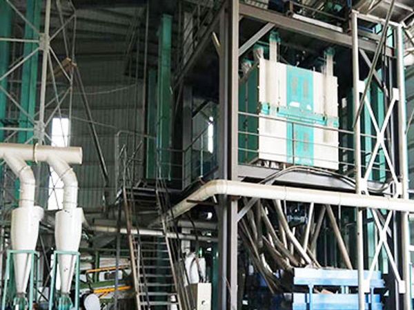 Machine de traitement des pois chiches Fabricant