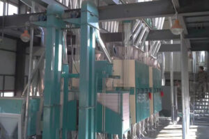 Prix de la machine commerciale de traitement du riz