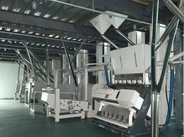 Fabricant de machines de traitement des céréales et des légumineuses