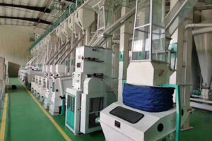 fabricant de machine de traitement des grains de café vert