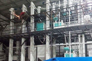 fabricant de machines de traitement de la farine de lentilles
