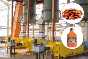 Ligne de production d’huile de palmiste fabricant