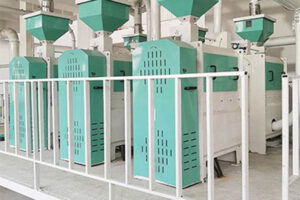 fabricant de machine de traitement des pois secs