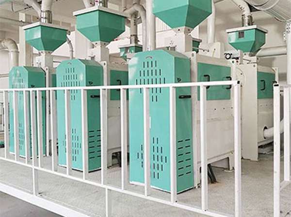 Fabricant de machines de traitement des pois