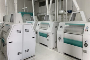 Ligne de production de farine de maïs précuite Fabricant