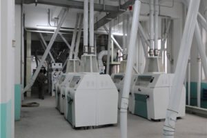 fabricant de machines de traitement du soja