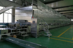 Amidon entièrement automatique nouilles instantanées ligne de production fabricant