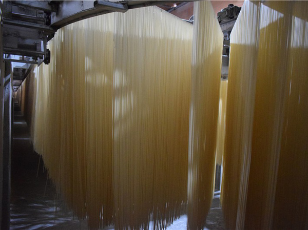 Usine de production de nouilles en bâtonnets de 30 tonnes/jour au Pakistan
