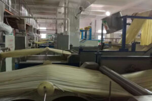 Ligne de production de farine de riz auto – cuite entièrement automatique fabricant