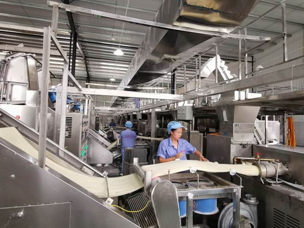 Eau riz frais nouilles faire fabricant de machine