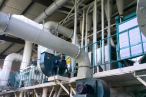 Fabricant de machine de traitement de la farine de millet jaune