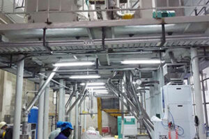 Gramme noir丨Fabrication de machines pour le traitement des haricots mungo