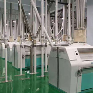 ligne de production de farine de maïs