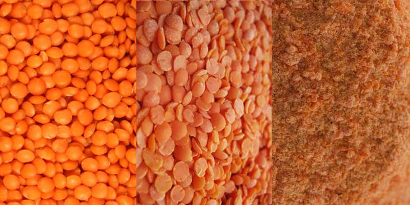 fabricant de machines pour la transformation de la farine de lentilles