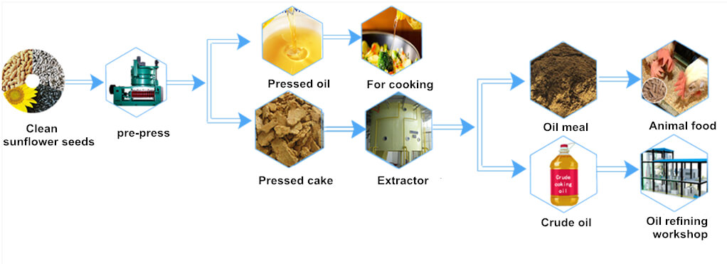 Processus de pré - extraction et d'extraction des graines de tournesol