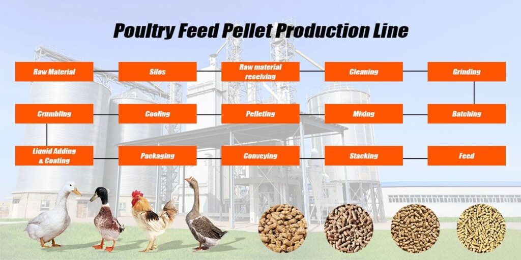 Manufacturing process of poultry feed pellet production line