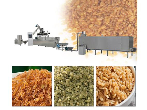 Fabricant de lignes de production de riz artificiel et de riz composite