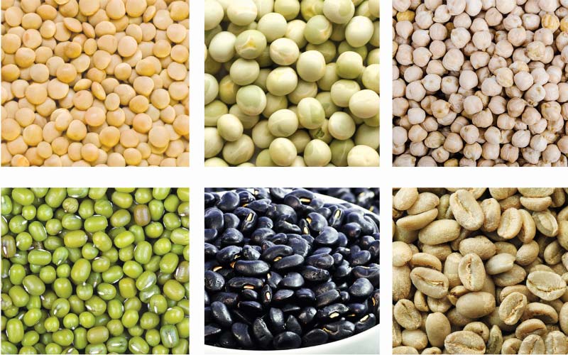 Fabricant de machines de traitement de la farine de céréales et de légumineuses