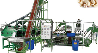 Ligne de production de noix