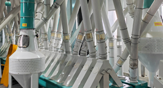 ligne de production de farine de maïs