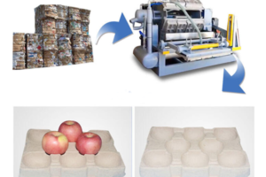 Ligne de production automatique de carton alimentaire de pâte de fruit
