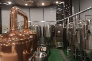 Fabricant de ligne de production automatique de brandy