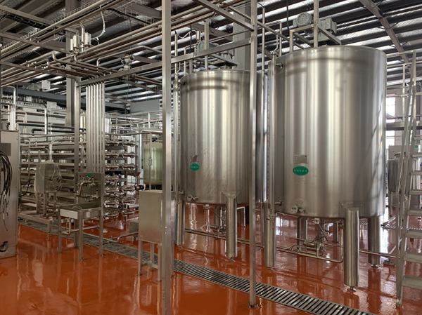 Fabricant de ligne de production d'enzymes de kiwi, fruit du dragon, myrtille et citron