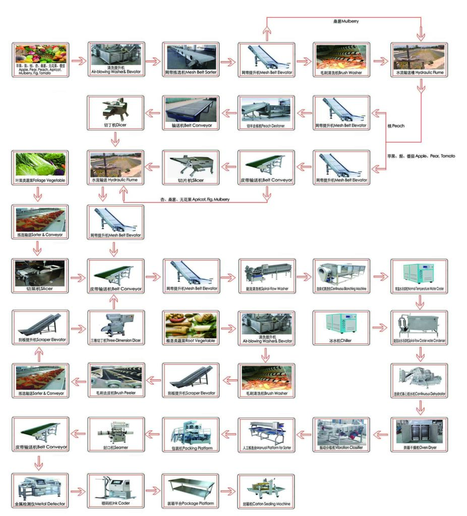 Caractéristiques de la ligne de production de tranches de fruits et légumes déshydratés