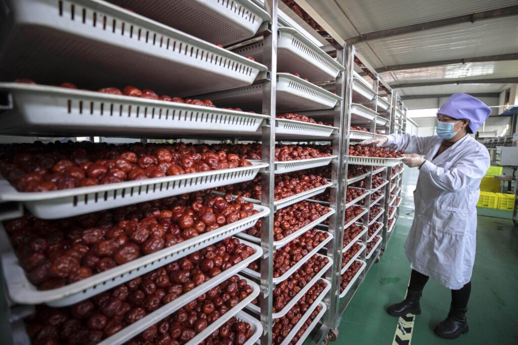 Machine pour la fabrication de boissons à base de jus de datte