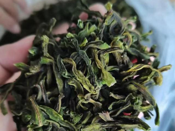 Le déshydrateur est un nouveau type de machine de transformation alimentaire