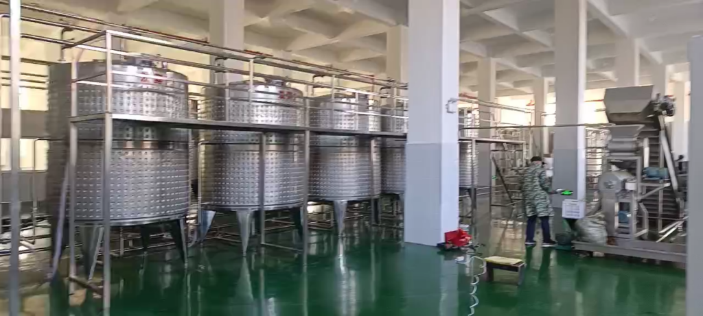 Équipement complet pour la production de vin de fruits,