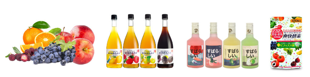 Usine de production de vin de fruits