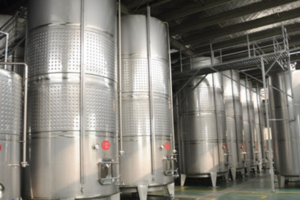 Fabricant de lignes de production entièrement automatiques pour le vin de fruit d&rsquo;aubépine