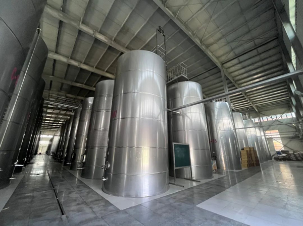 Fabricant de machines à vin entièrement automatiques