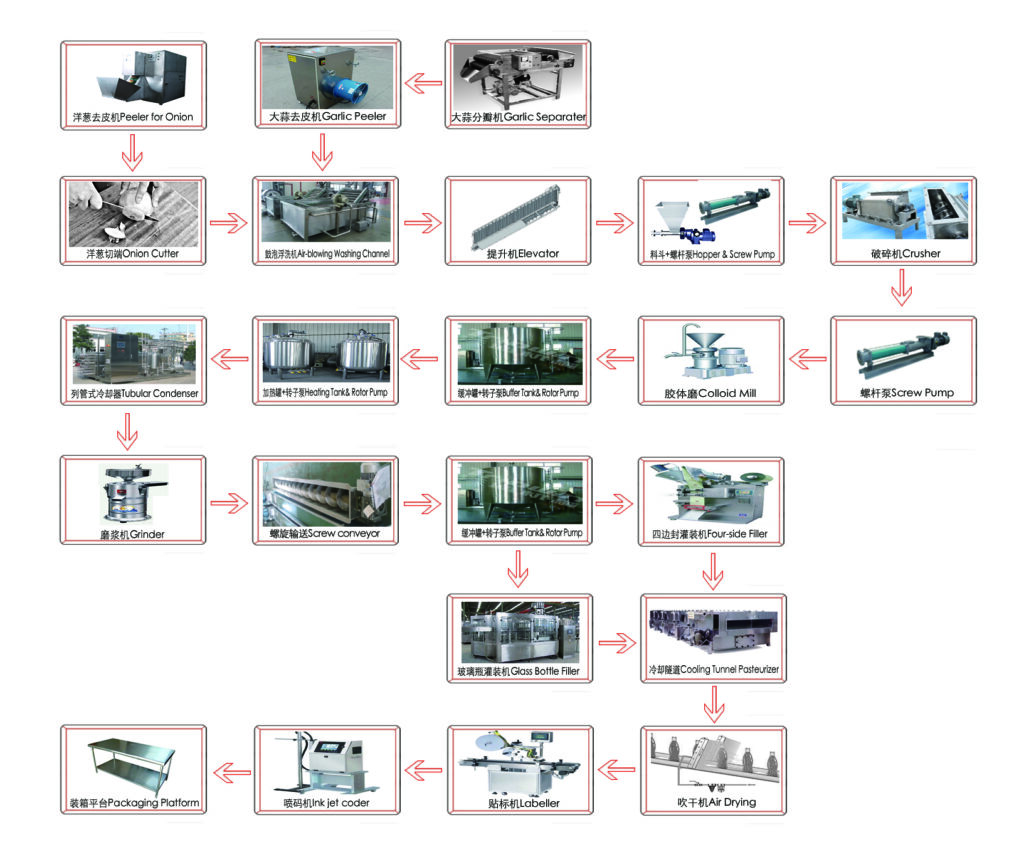 Ligne de production technologique pour le gingembre et l'ail 